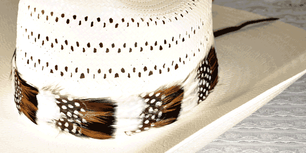 Stellar Western Feather Cowboy Hat Band for Men Women Natural Feather
