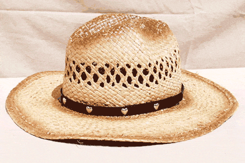 Milani Brown 100% Straw Cowboy Hat Leather Hat Band Unisex Ft