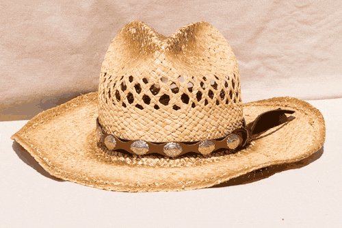 Milani Brown 100% Straw Cowboy Hat Leather Hat Band Unisex Ft Worth  Stockyards